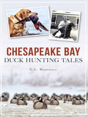cover image of Chesapeake Bay Duck Hunting Tales